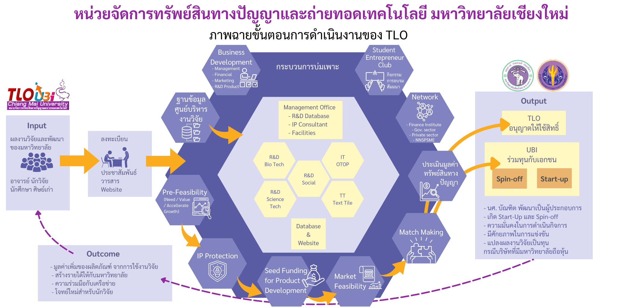 แผนผังการบริหารจัดการ